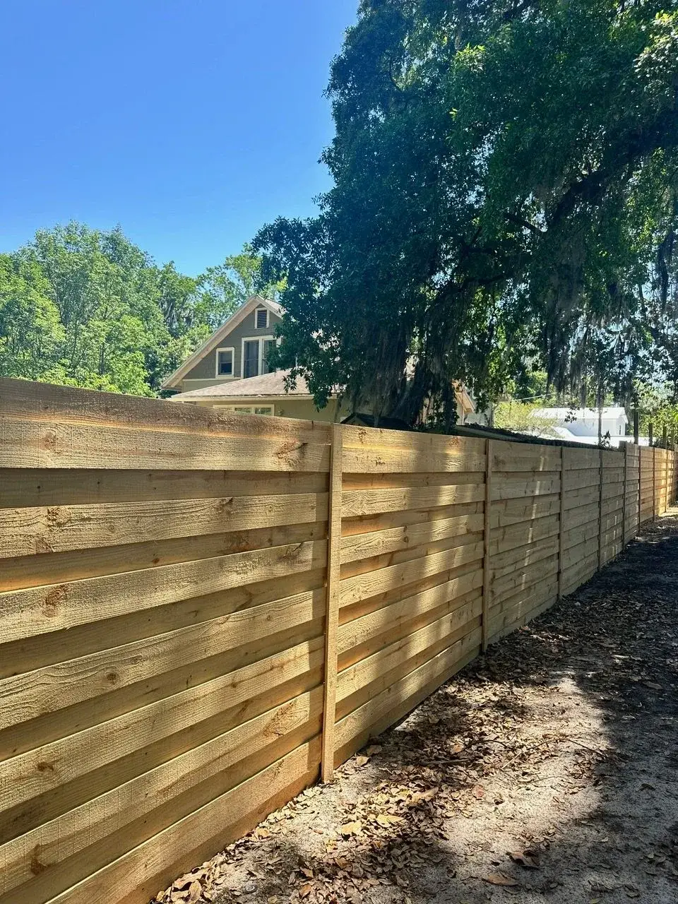 Wood privacy fence under mature shade trees at the back of a property
