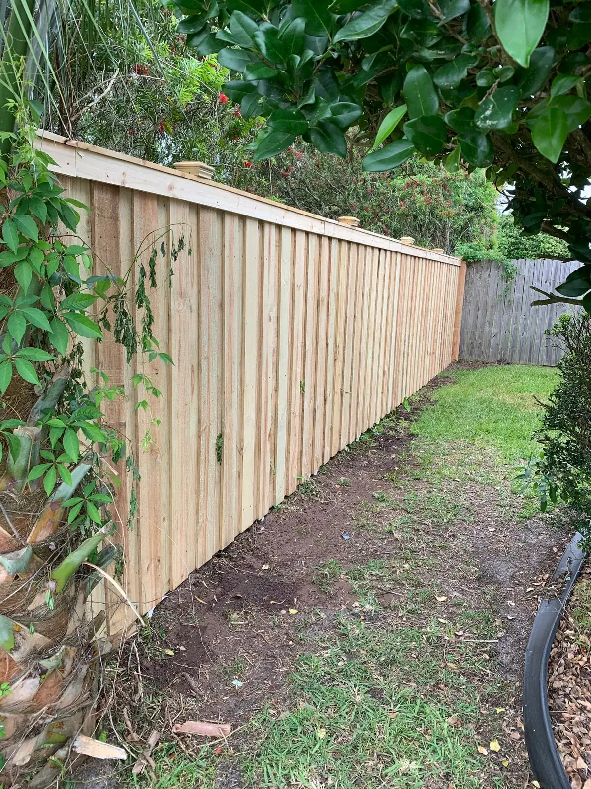 Wood privacy fence with a top cap and capped posts along a landscaped yard