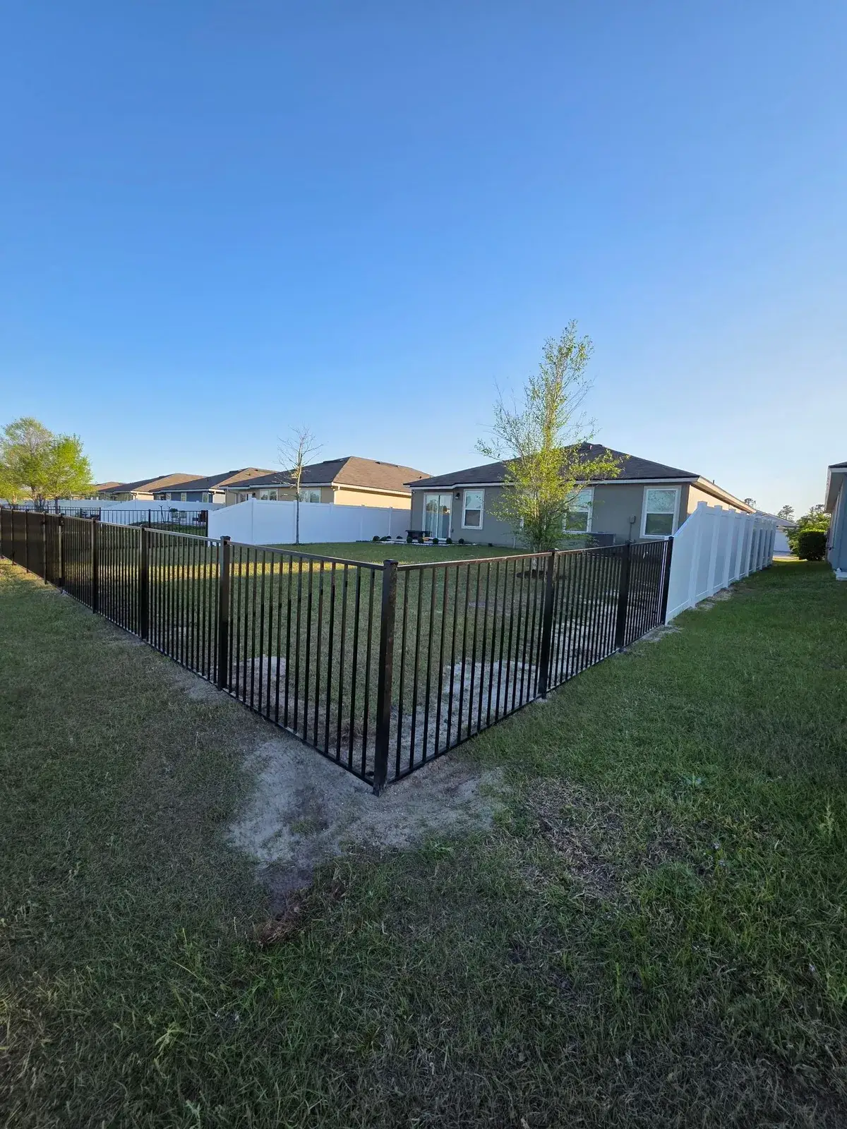 Black aluminum fence enclosing the rear yard of a Jacksonville home
