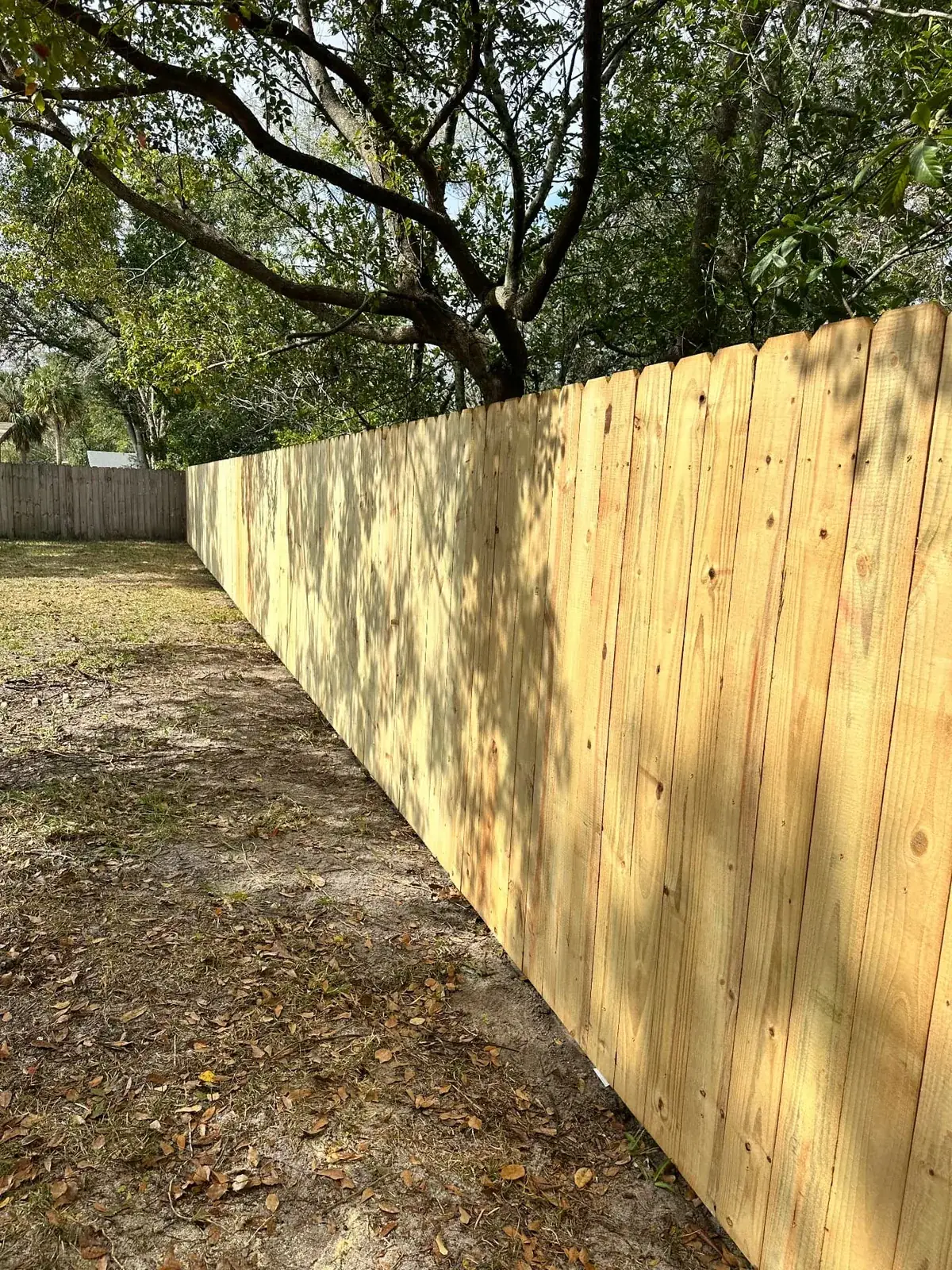 New wood privacy fence running beneath mature shade trees in a residential backyard