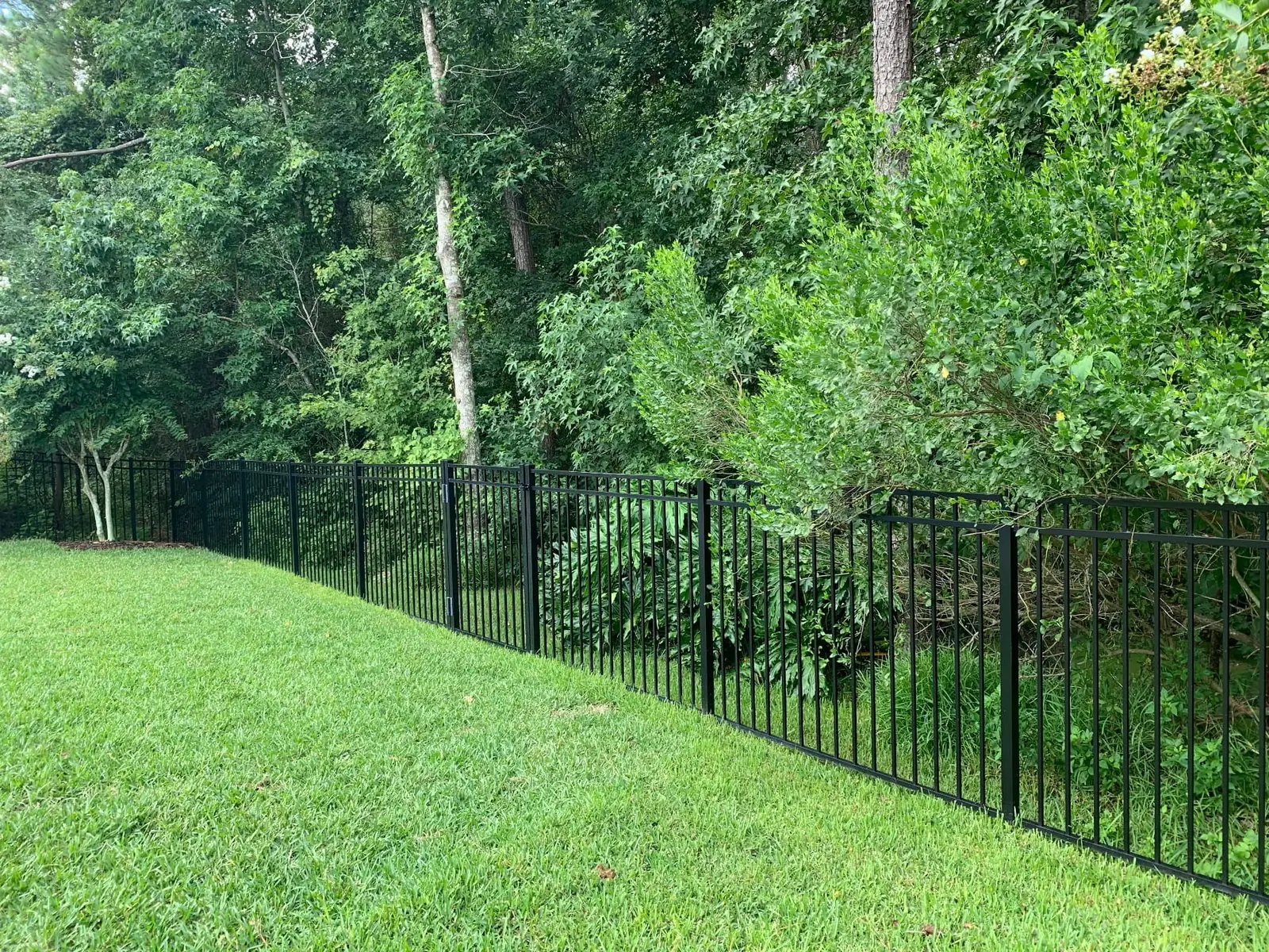 Black aluminum fence at the edge of an open yard backing to trees